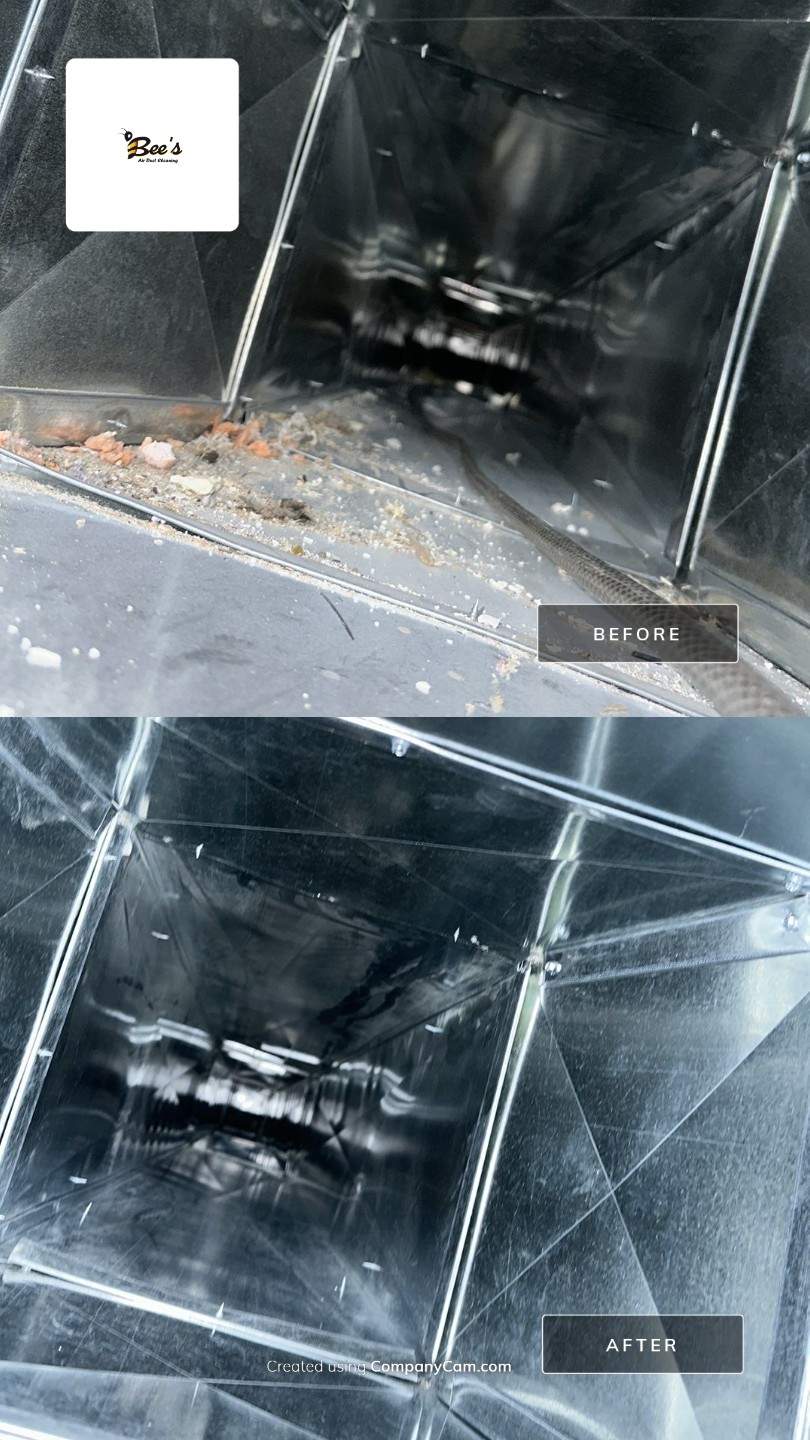 hvac duct cleaning